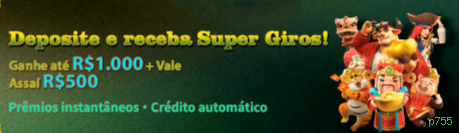 Login Interface